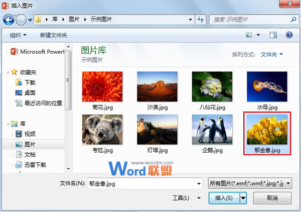 PowerPoint2013图片处理：柔化边缘